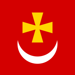 Borzna flag